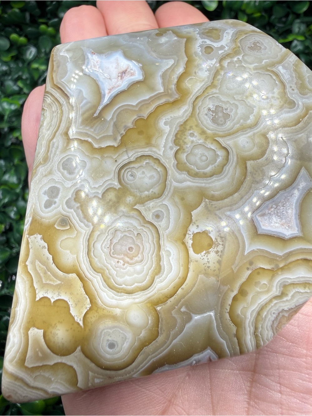 Mexican Crazy Lace Agate Polished Freeform